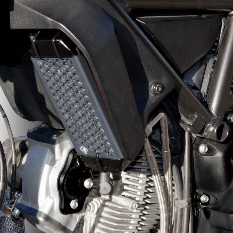Motore Ducabike Protezione Radiatore Olio Gr03 Fume 4 Motore Ducabike Protezione Radiatore Olio Gr03 Fume - immagine 2
